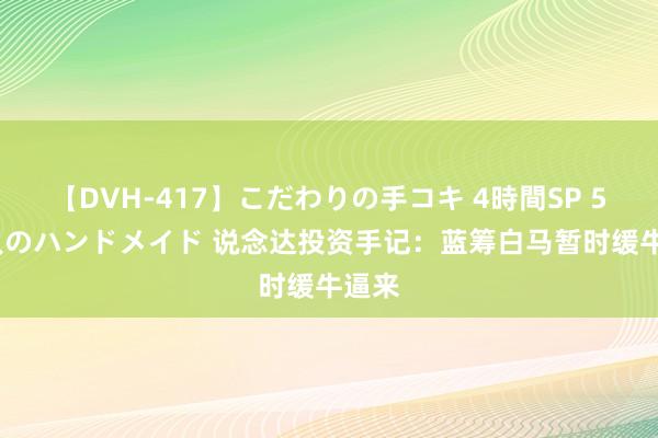 【DVH-417】こだわりの手コキ 4時間SP 5 30人のハンドメイド 说念达投资手记：蓝筹白马暂时缓牛逼来