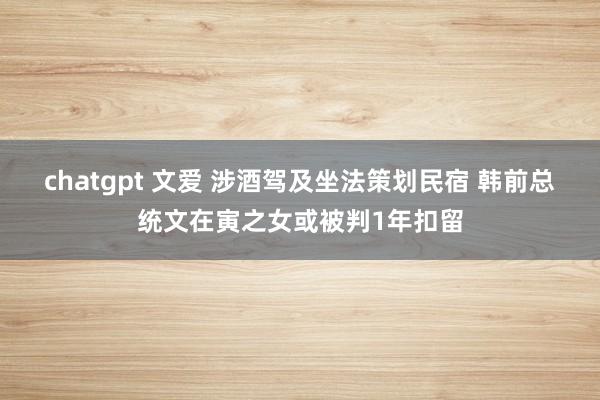chatgpt 文爱 涉酒驾及坐法策划民宿 韩前总统文在寅之女或被判1年扣留