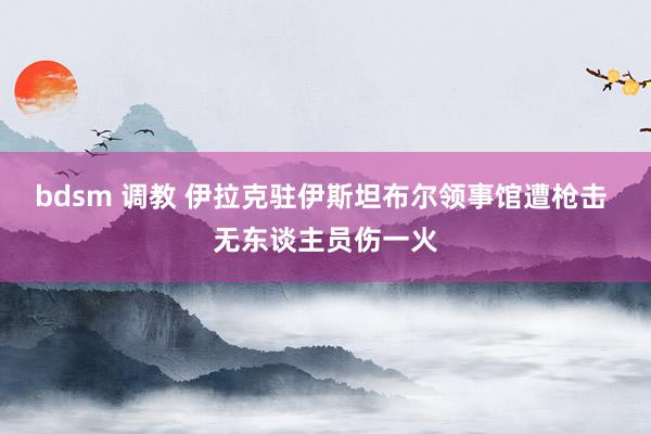 bdsm 调教 伊拉克驻伊斯坦布尔领事馆遭枪击 无东谈主员伤一火