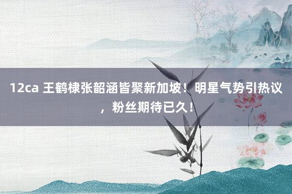 12ca 王鹤棣张韶涵皆聚新加坡！明星气势引热议，粉丝期待已久！