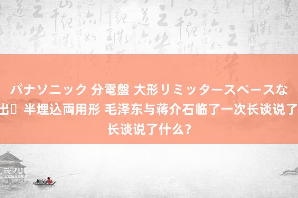 パナソニック 分電盤 大形リミッタースペースなし 露出・半埋込両用形 毛泽东与蒋介石临了一次长谈说了什么？
