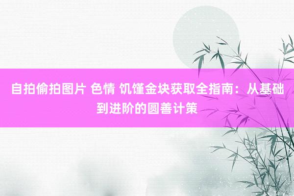 自拍偷拍图片 色情 饥馑金块获取全指南：从基础到进阶的圆善计策