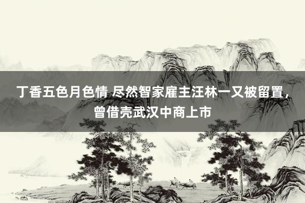 丁香五色月色情 尽然智家雇主汪林一又被留置，曾借壳武汉中商上市