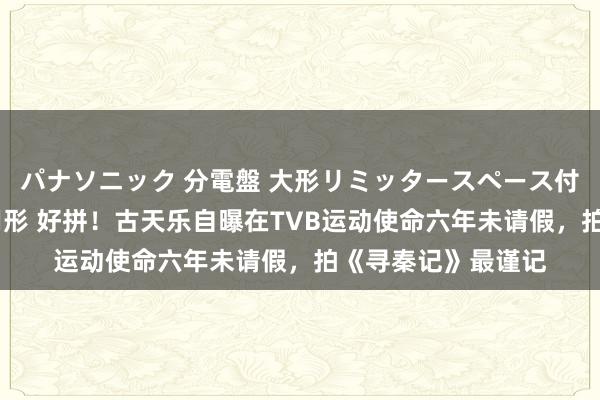 パナソニック 分電盤 大形リミッタースペース付 露出・半埋込両用形 好拼！古天乐自曝在TVB运动使命六年未请假，拍《寻秦记》最谨记
