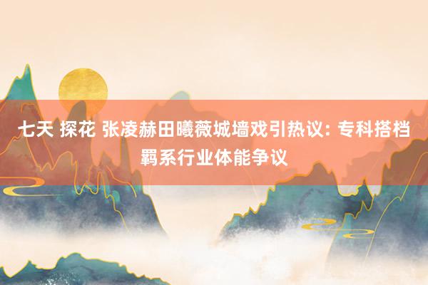 七天 探花 张凌赫田曦薇城墙戏引热议: 专科搭档羁系行业体能争议
