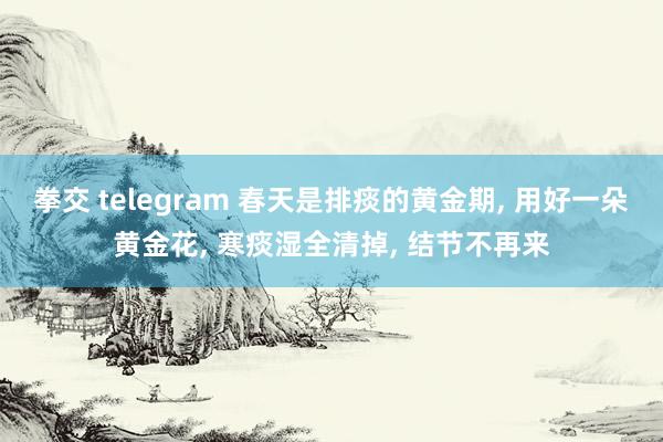 拳交 telegram 春天是排痰的黄金期, 用好一朵黄金花, 寒痰湿全清掉, 结节不再来