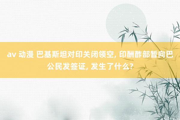 av 动漫 巴基斯坦对印关闭领空, 印酬酢部暂向巴公民发签证, 发生了什么?