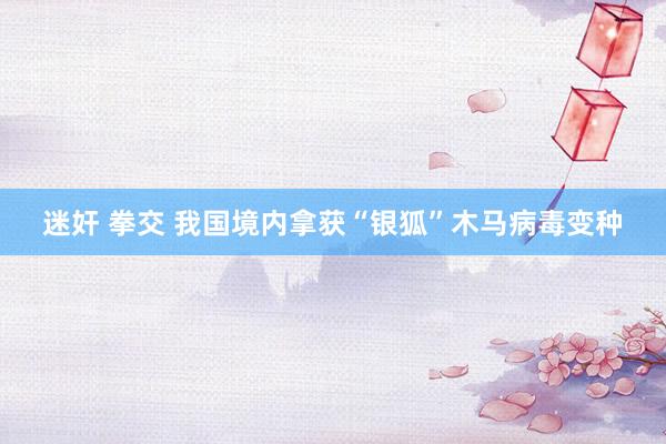 迷奸 拳交 我国境内拿获“银狐”木马病毒变种