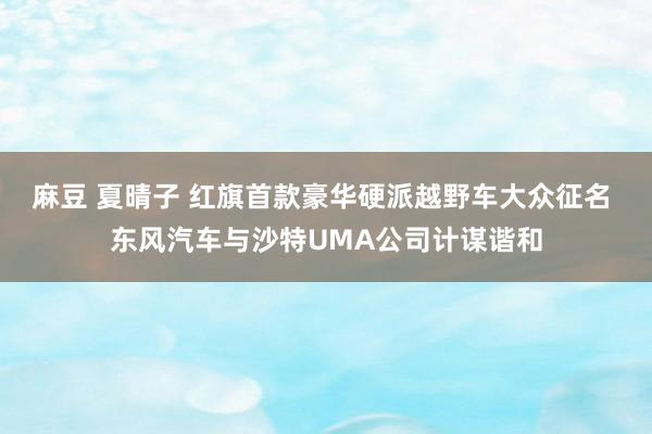 麻豆 夏晴子 红旗首款豪华硬派越野车大众征名 东风汽车与沙特UMA公司计谋谐和