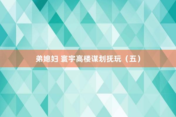 弟媳妇 寰宇高楼谋划抚玩（五）