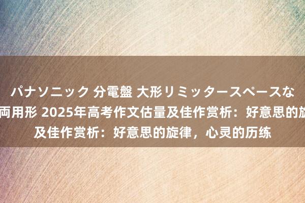 パナソニック 分電盤 大形リミッタースペースなし 露出・半埋込両用形 2025年高考作文估量及佳作赏析：好意思的旋律，心灵的历练