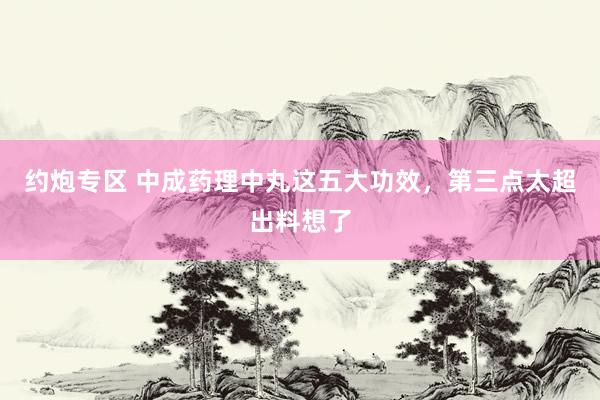 约炮专区 中成药理中丸这五大功效，第三点太超出料想了