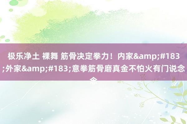 极乐净土 裸舞 筋骨决定拳力！内家&#183;外家&#183;意拳筋骨磨真金不怕火有门说念