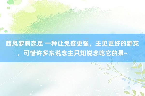 西风萝莉恋足 一种让免疫更强，主见更好的野菜，可惜许多东说念主只知说念吃它的果~
