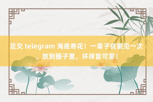足交 telegram 海底奇花！一辈子贫窭见一次，放到圈子里，环球皆可爱！